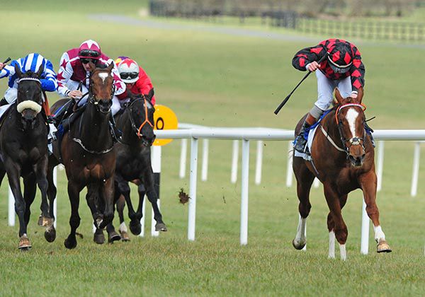 Pride Of Pimlico and Ronan Whelan prevail