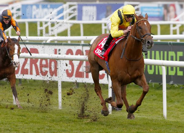The William Haggas-trained Addeybb