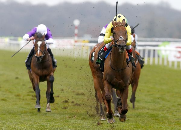 Zabeel Prince