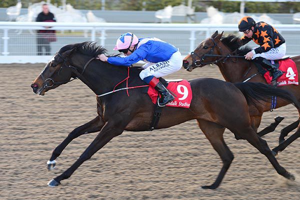 Harvestfortheworld (Chris Hayes) beats Loving A Boom