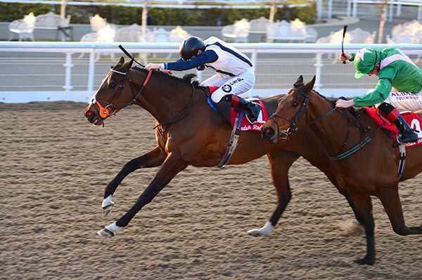 Elysees Palace (Declan McDonogh) accounts for Saga Altais