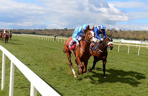 Iiex Excelsa and Chris Hayes (left) beat Luzum