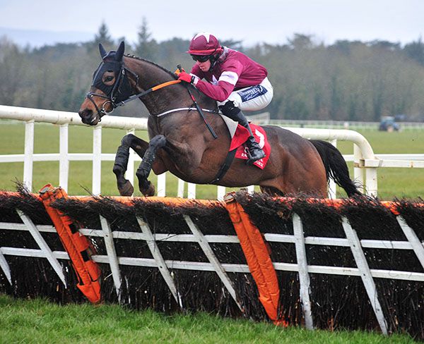 Park Paddocks in command at Cork