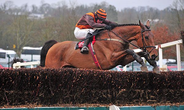 Sumos Novios and Jonathan Burke team up well