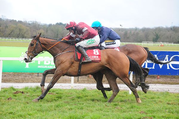 Portnablagh (nearest) is ridden out by Declan Lavery to beat Miss Delighted 
