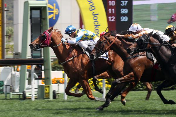 Solar Patch winning at Sha Tin