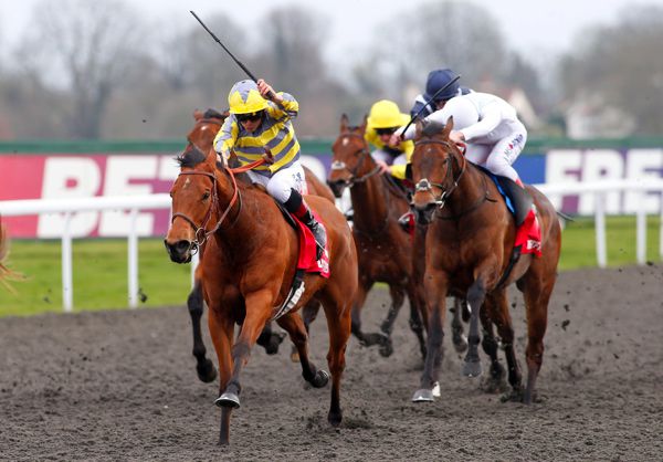 Hunaina pictured on her way to victory at Kempton last month