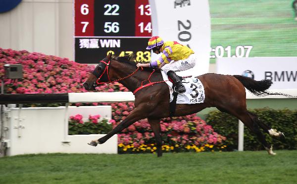 Ping Hai Star will seek his first G1 success in the APQEII Cup 
