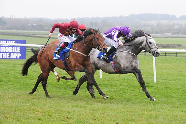 Grey horse Capri holds on from Cannonball