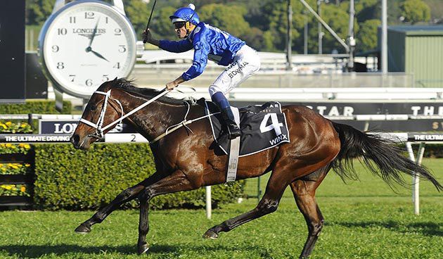 The Chris Waller-trained Winx