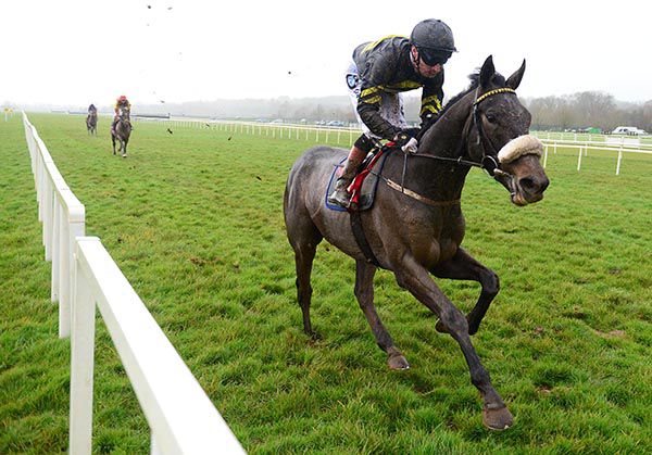 Bandua will face very different conditions from what he encountered at Cork in April