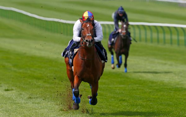 Cracksman