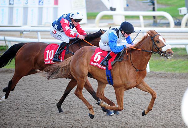 Schoolboy Error (Chris Hayes) beating Dixie Highway