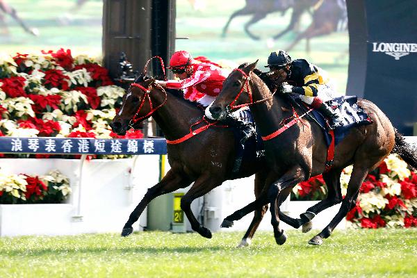 Mr Stunning (red cap) scores his biggest win in the G1 Hong Kong Sprint.