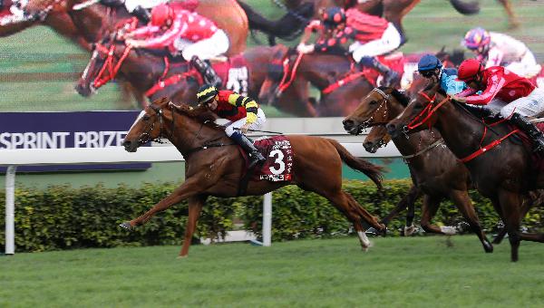 Lucky Bubbles gets the better of Mr Stunning to win the 2017 Chairman's Sprint Prize.