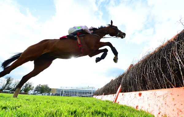 Faugheen