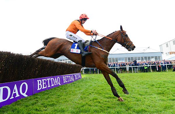 Alpha Male wins easily under Barry O'Neill