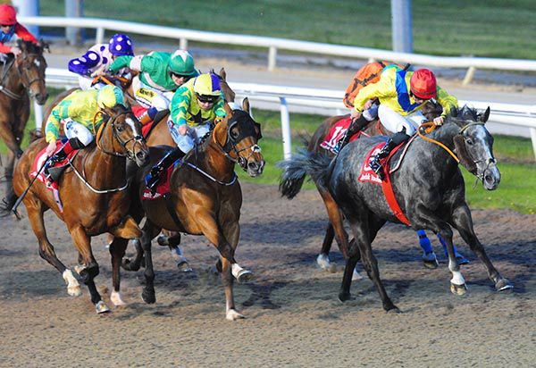 Rory Cleary (red cap) drives Dance Alone home in front