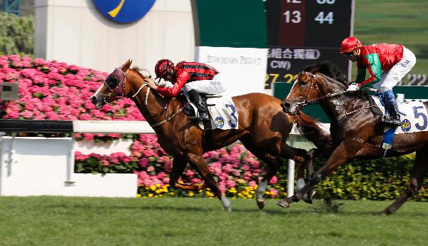 Eagle Way gets the better of Helene Charisma to win the Queen Mother Memorial Cup last year.
