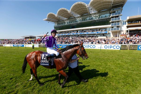 Saxon Warrio after winning Qipco 2000 Guineas Stakes