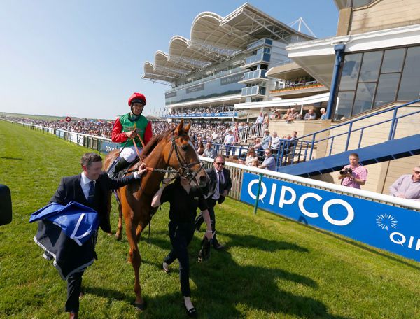 Billesdon Brook after her Newmarket heroics