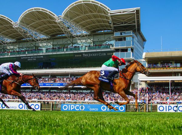 Billesdon Brook and Sean Levey