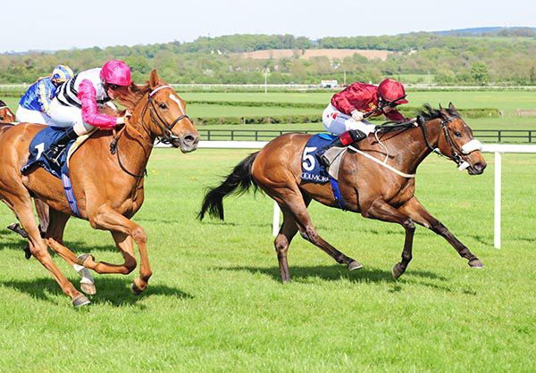 Lightening Quick (noseband) leads home Xenobia in the Athasi 