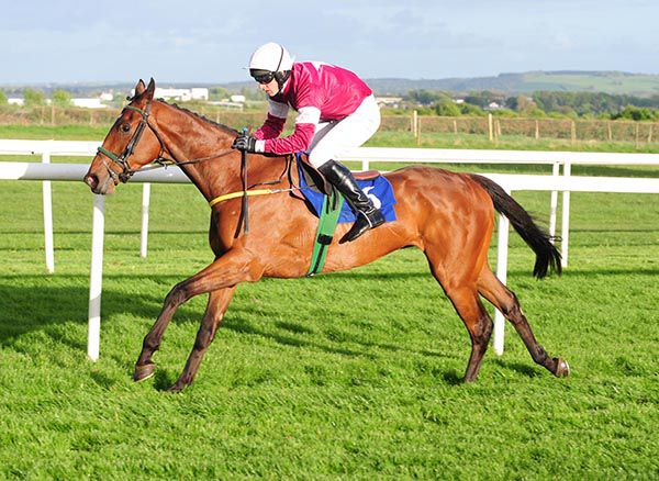 Momus strides clear in Roscommon
