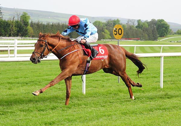 Sagittarius Rising stretches on to victory under Rory Cleary