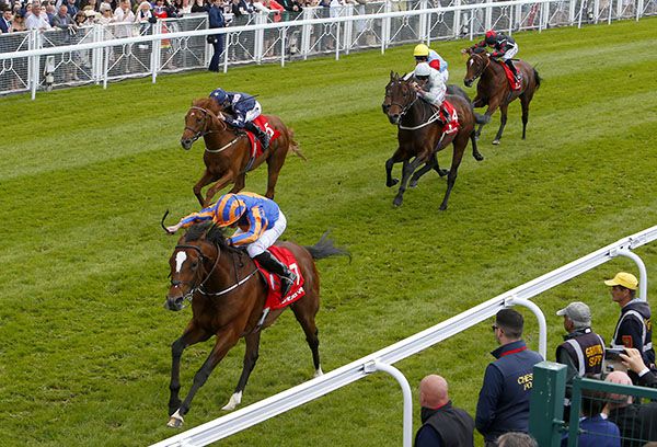 Rostropovich is ridden out by Ryan Moore