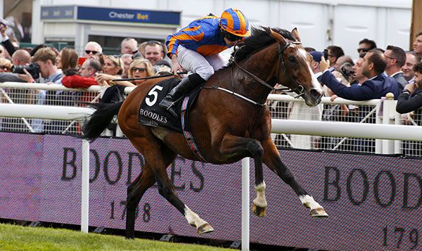 Idaho and Ryan Moore pictured on their way to victory