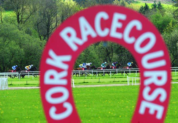 Cork Racecourse to be used a Covid-19 testing centre
