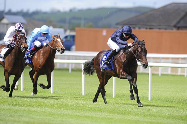 Land Force leads home his rivals under Donnacha O'Brien