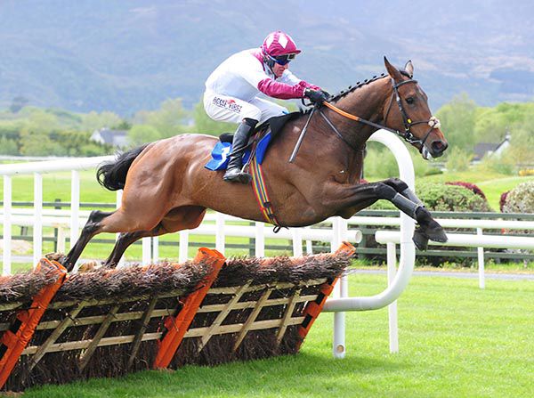 Magnium clears the last under Robbie Power