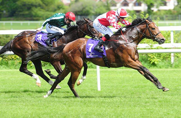Zihba (Chris Hayes) beating Pincheck in the Amethyst Stakes