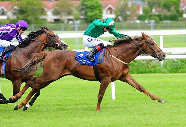 Derrinstown Stud Derby Trial will take place at Leopardstown on June 9