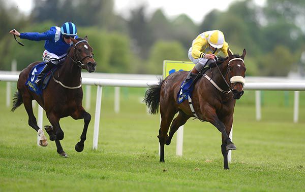 Beckwith Place, yellow, fends off Mayaadeen 