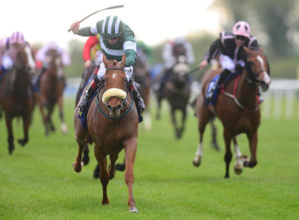 Gizi Gazelle leads them home in Tipperary