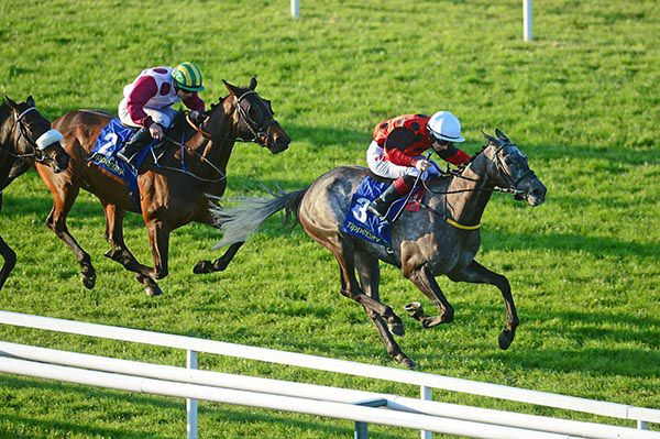 Roseriver Has in front at Tipperary