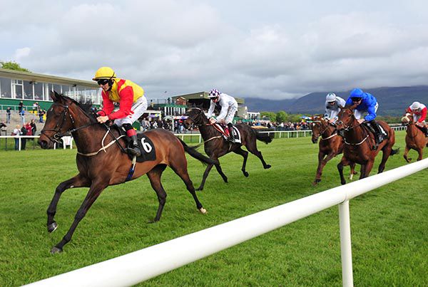 Espere approaches the winning post in Killarney