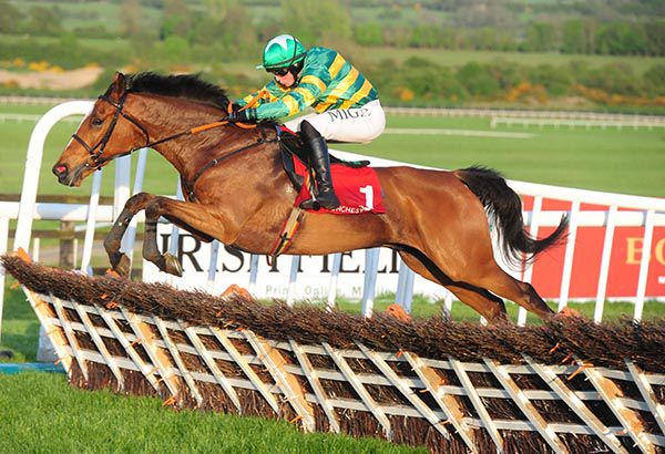 Spring Watch jumps the last under Donal McInerney