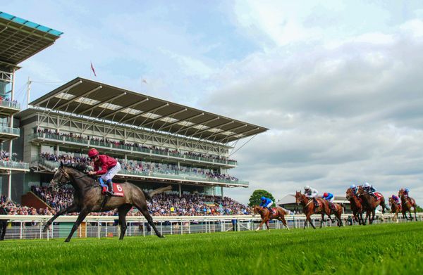 York Racecourse