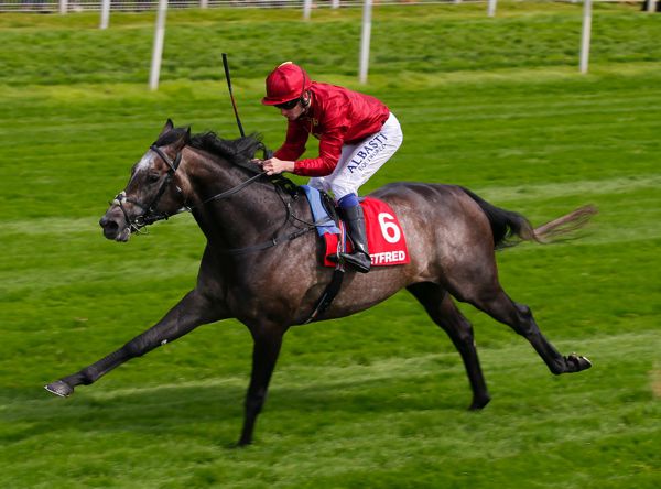 Roaring Lion
