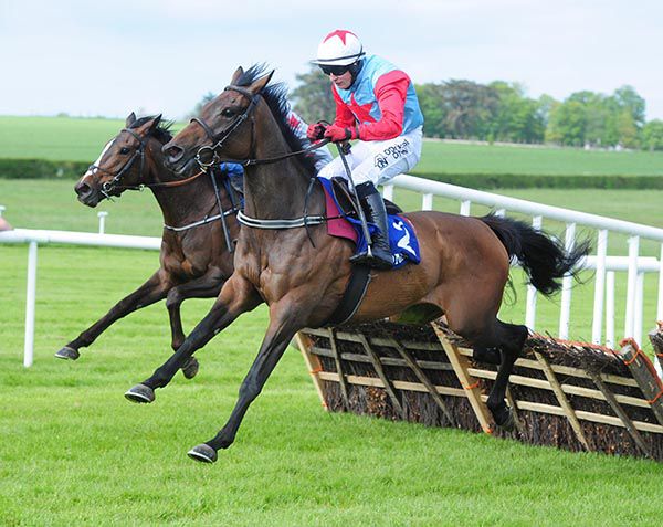 Blondes No More on her way to Clonmel success under Mark Enright