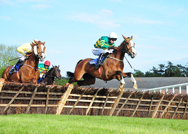 Hearts Are Trumps on the way to Clonmel success under Mark Walsh
