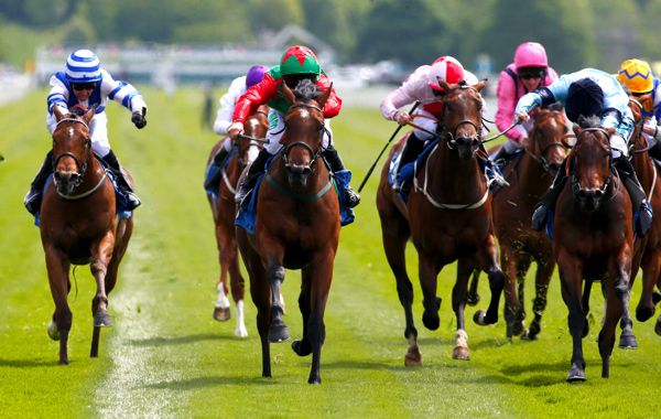 Signora Cabello (red and green) is ridden out by Jason Hart