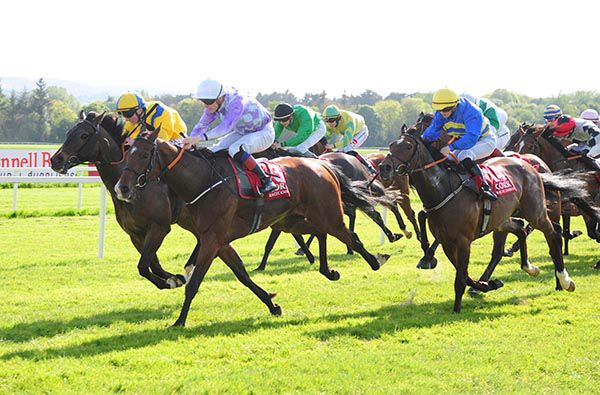 Count Of Carabass (yellow) stays on best under Chris Hayes to beat Bay Of Skaill