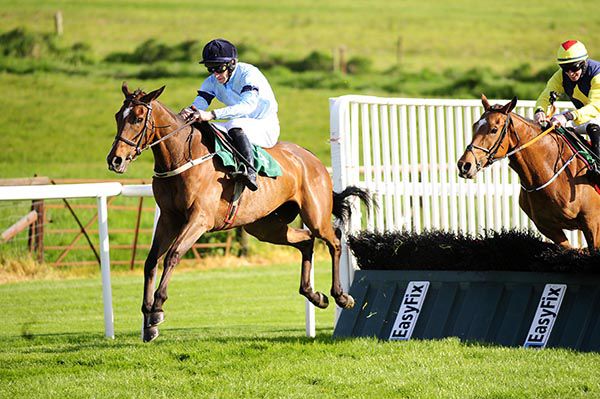 Caro Des Flos clears the last under David Mullins
