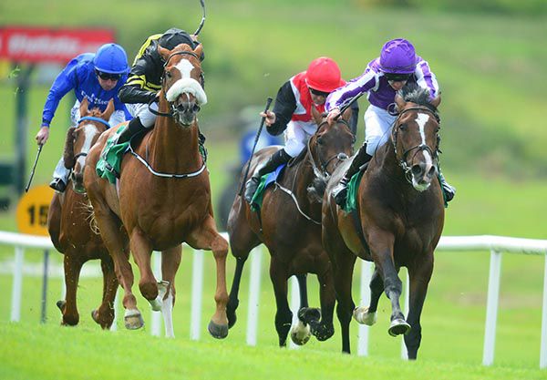 Southern France (right) is ridden out by Donnacha O'Brien to beat Drapers Guild