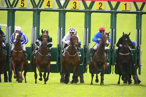 Runners break from the stalls, with eventual winner Decision Time second from the right